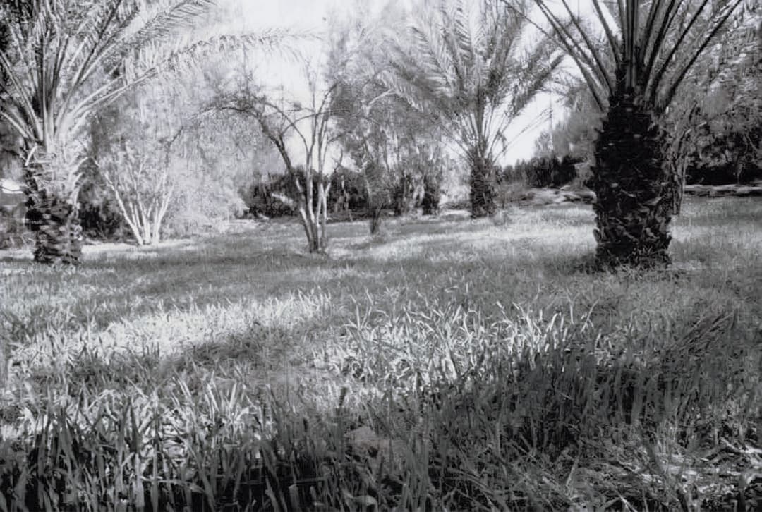 Qassim, where it began.